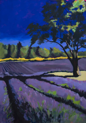 Sébastien Arcouet  "Un Arbre et ses Lavandes"