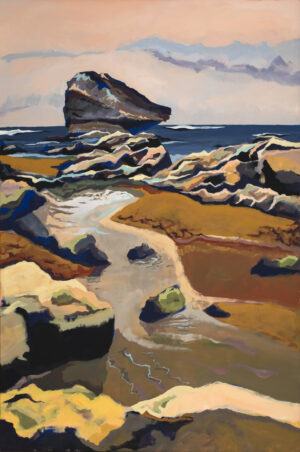 Sébastien Arcouet "Ilbarritz"
