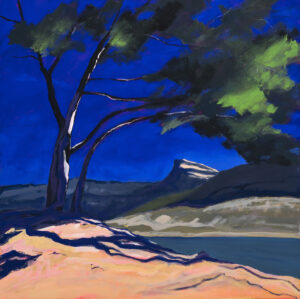 Sébastien Arcouet "Cassis"
