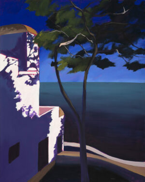 Sébastien Arcouet "l'Ombre des arbres sur la villa au bord de mer"