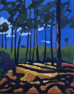 Sébastien Arcouet "Les Landes"