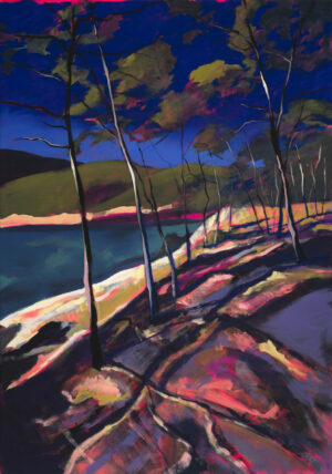 Sébastien Arcouet "Port d'Alon"