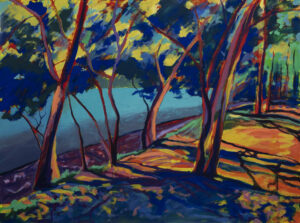 Sébastien Arcouet "Le lac d'Hossegor"
