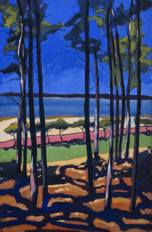 Sébastien Arcouet "Le Bassin d'Arcachon"