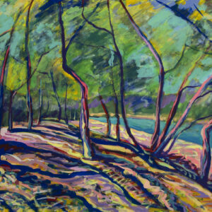 Sébastien Arcouet "Le Lac d'Hossegor"