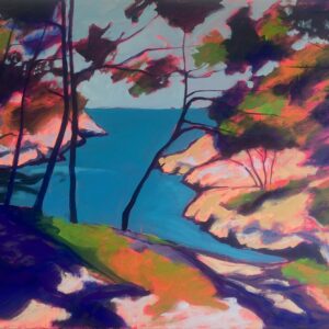 Sébastien Arcouet "La calanque de Port Pin"