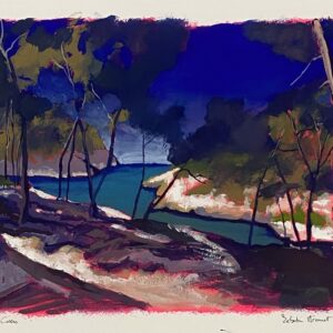 Sébastien Arcouet "Port Pin"