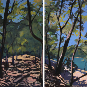 Sébastien Arcouet "Le Lac d'Hossegor"