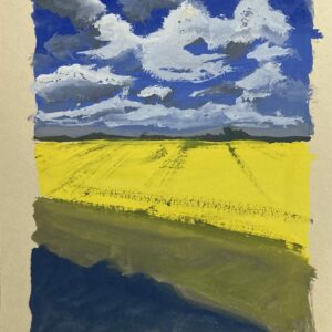 Sébastien Arcouet "Vue depuis le train entre Bayonne et Bordeaux"