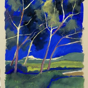 Sébastien Arcouet "Chez Romain à Cassis"