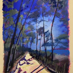 Sébastien Arcouet "Les Landes"