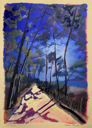 Sébastien Arcouet "Les Landes"