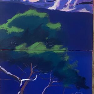 Sébastien Arcouet "Marseille"