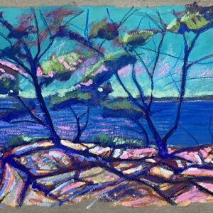 Sébastien Arcouet "Porquerolles"