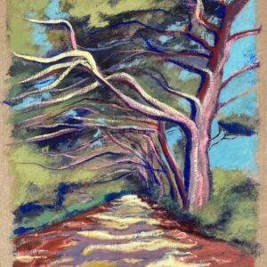 Sébastien Arcouet "Porquerolles"