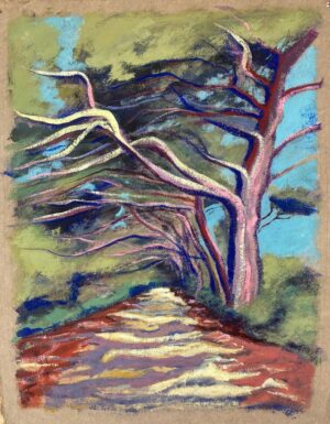 Sébastien Arcouet "Porquerolles"
