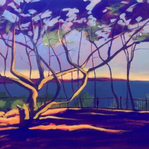 Sébastien Arcouet "Sanary"