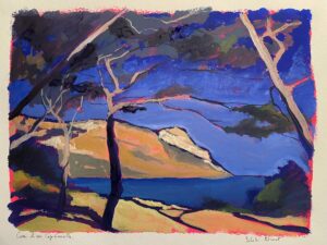Sébastien Arcouet "Cassis et son Cap Canaille"