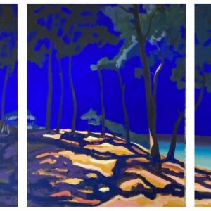 Sébastien Arcouet "Le sentier du Littoral"