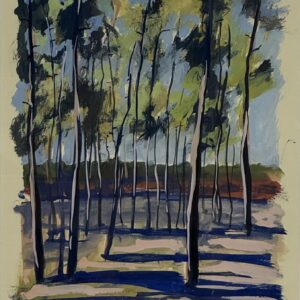 Sébastien Arcouet "Les pins"